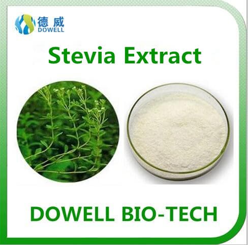 100_ Natural and Organic Stevia Leaf Extract